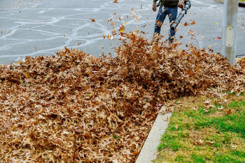 Efficient Leaf Removal Equipment