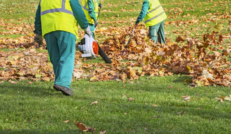Residential Leaf Removal