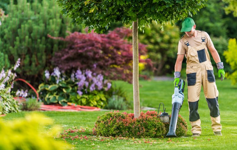Yard Maintenance Services